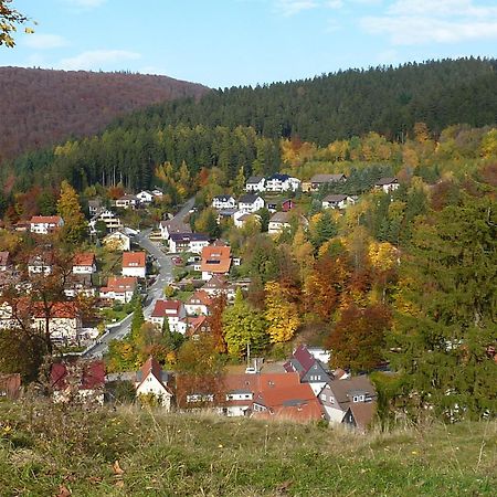 Pension Rheingold Garni Bad Grund Esterno foto