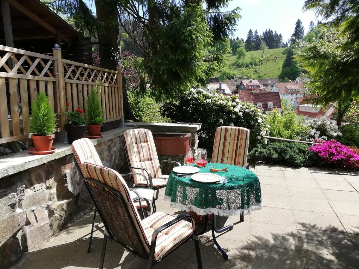 Pension Rheingold Garni Bad Grund Esterno foto
