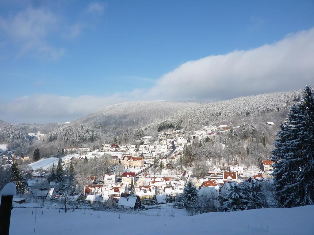 Pension Rheingold Garni Bad Grund Esterno foto