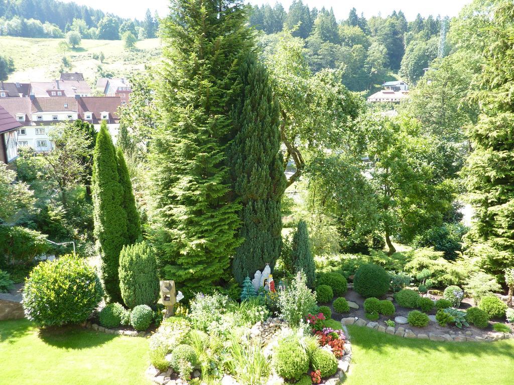 Pension Rheingold Garni Bad Grund Esterno foto