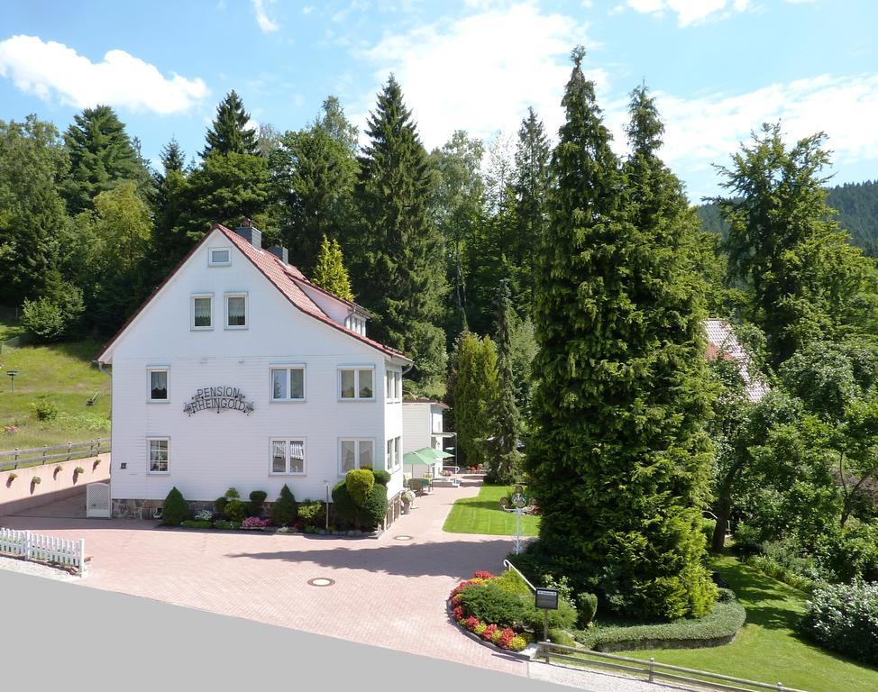 Pension Rheingold Garni Bad Grund Esterno foto
