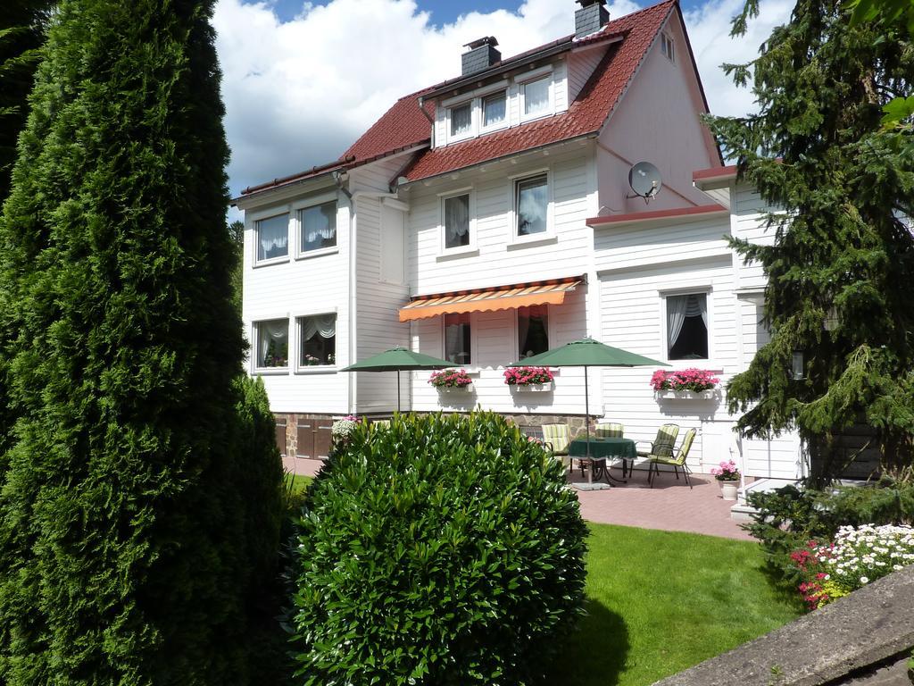 Pension Rheingold Garni Bad Grund Esterno foto
