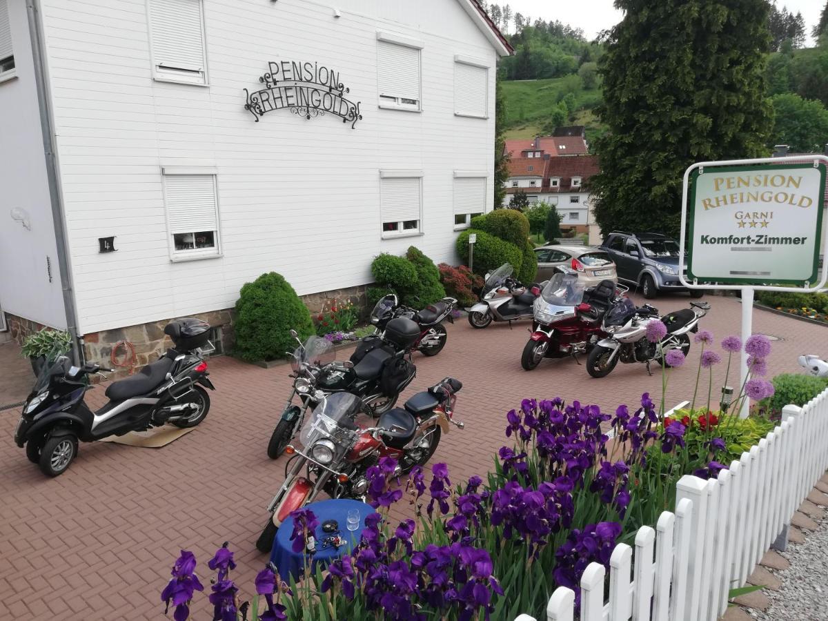 Pension Rheingold Garni Bad Grund Esterno foto