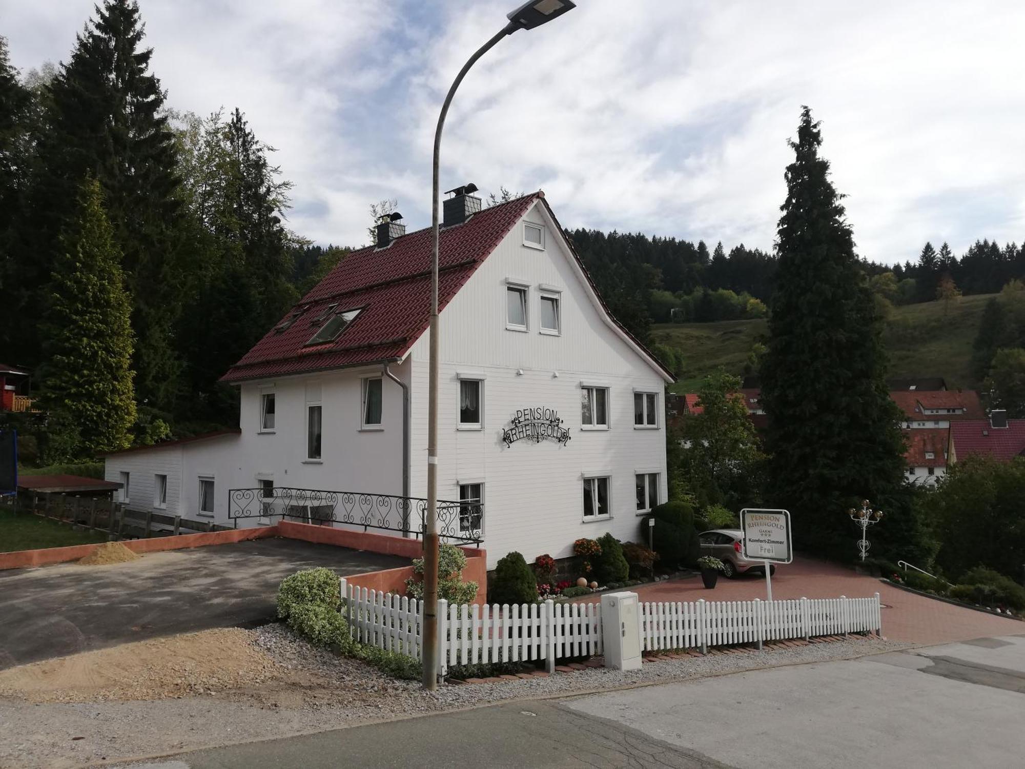 Pension Rheingold Garni Bad Grund Esterno foto