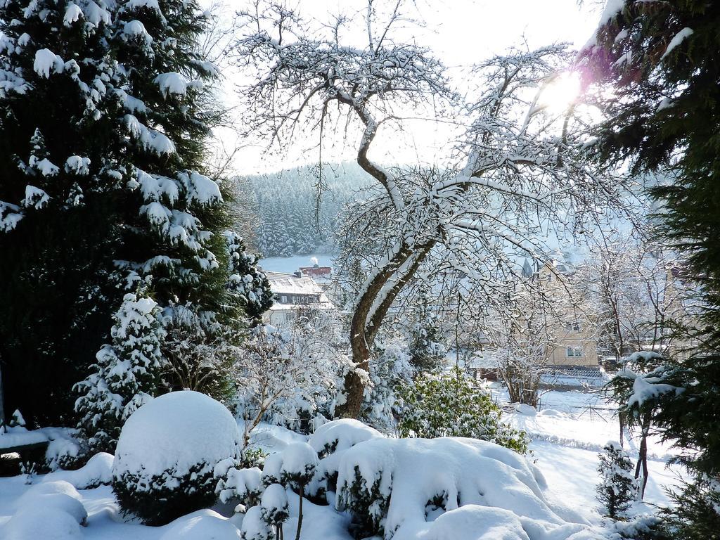 Pension Rheingold Garni Bad Grund Esterno foto