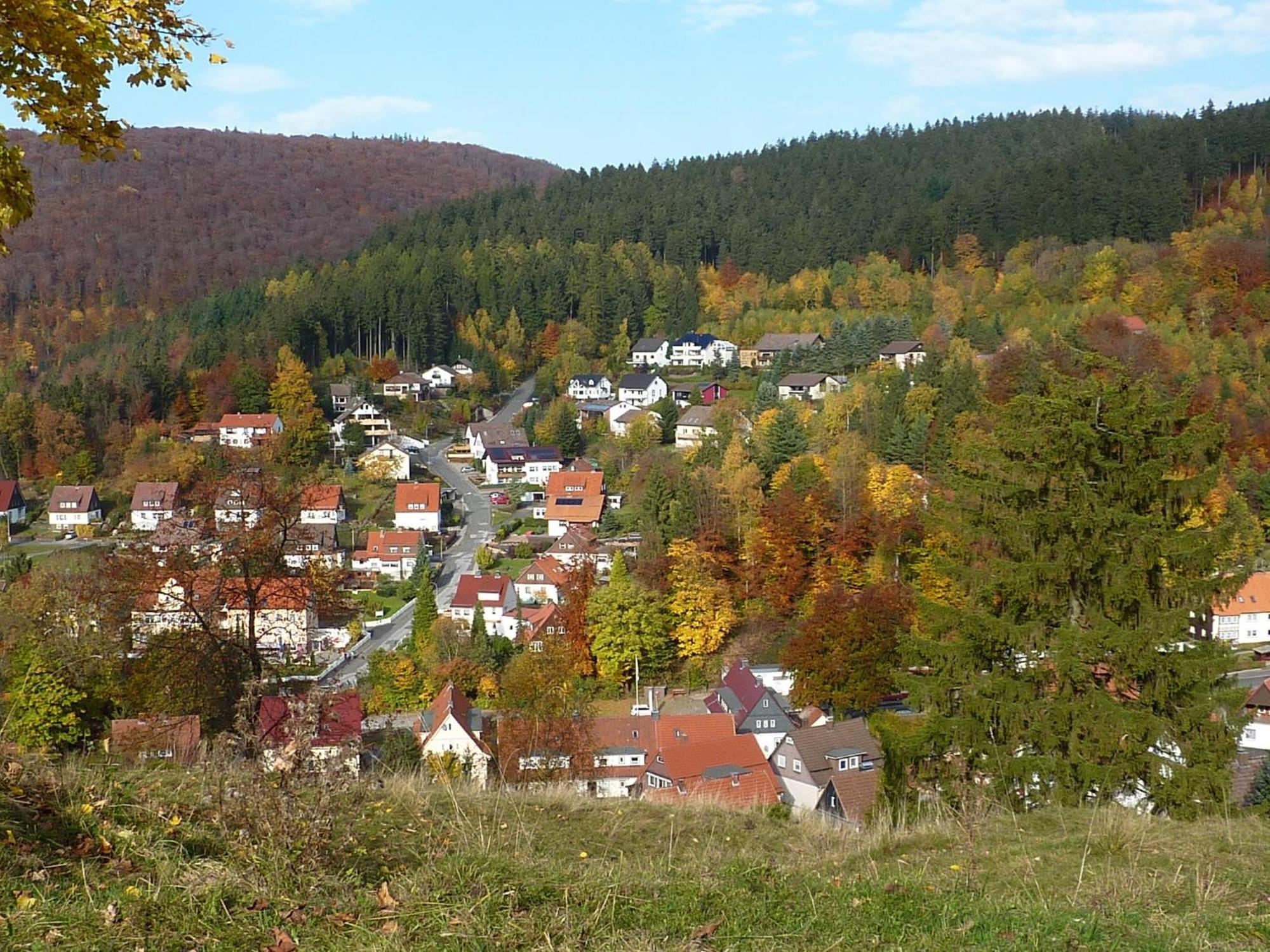Pension Rheingold Garni Bad Grund Esterno foto