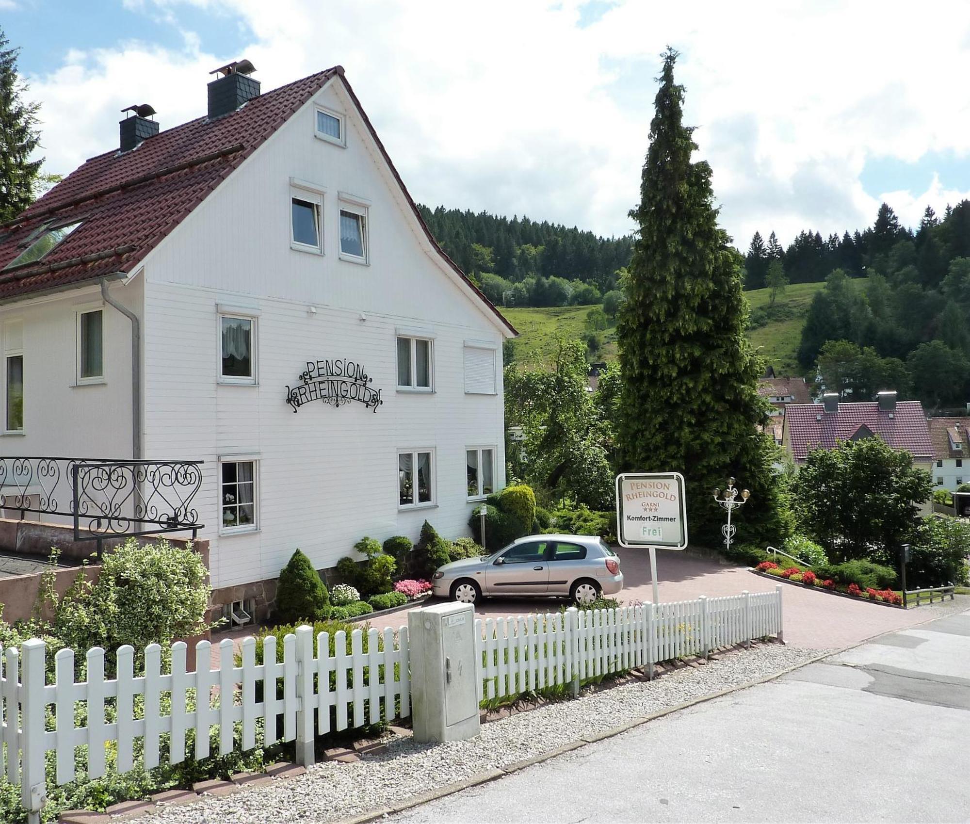 Pension Rheingold Garni Bad Grund Esterno foto