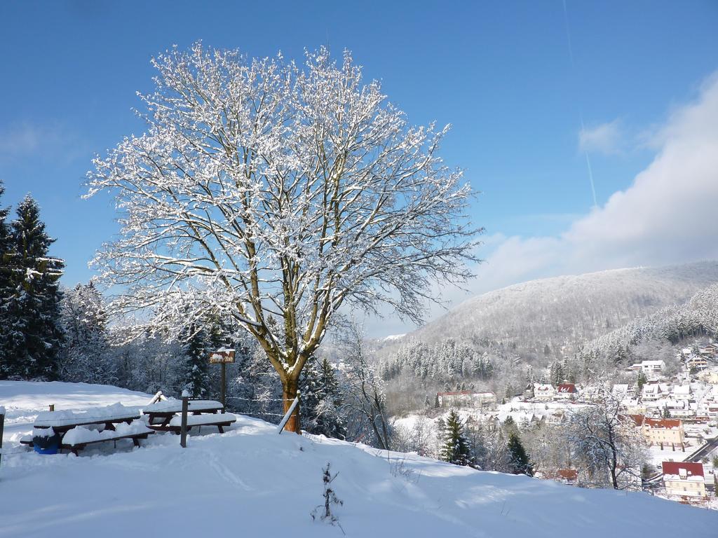 Pension Rheingold Garni Bad Grund Esterno foto