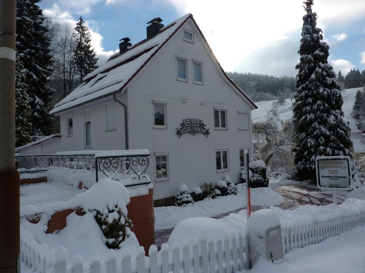 Pension Rheingold Garni Bad Grund Esterno foto